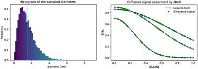 Robust Monte-Carlo Simulations in Diffusion-MRI: Effect of the Substrate Complexity and Parameter Choice on the Reproducibility of Results